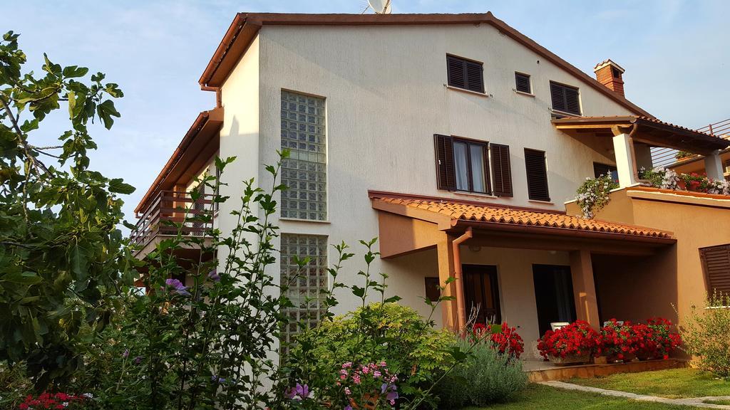 Bed & Breakfast بنجول المظهر الخارجي الصورة
