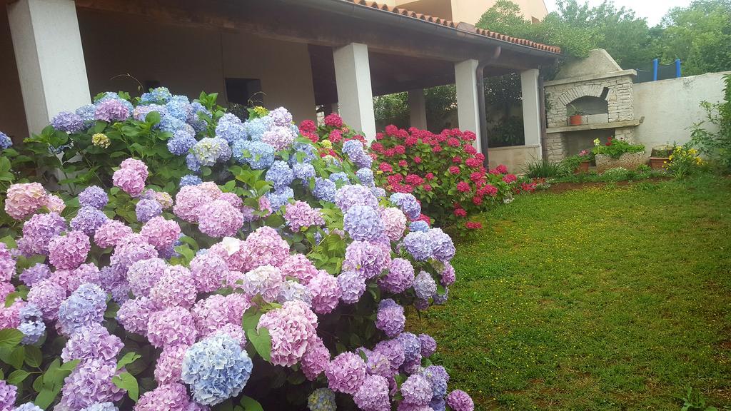 Bed & Breakfast بنجول المظهر الخارجي الصورة
