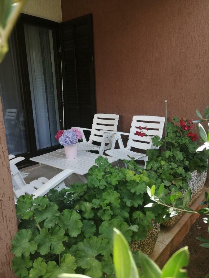 Bed & Breakfast بنجول المظهر الخارجي الصورة
